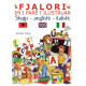 Fjalori im i pare i ilustruar shqip – anglisht – italisht