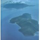 Albanian Riviera from the Sky - album